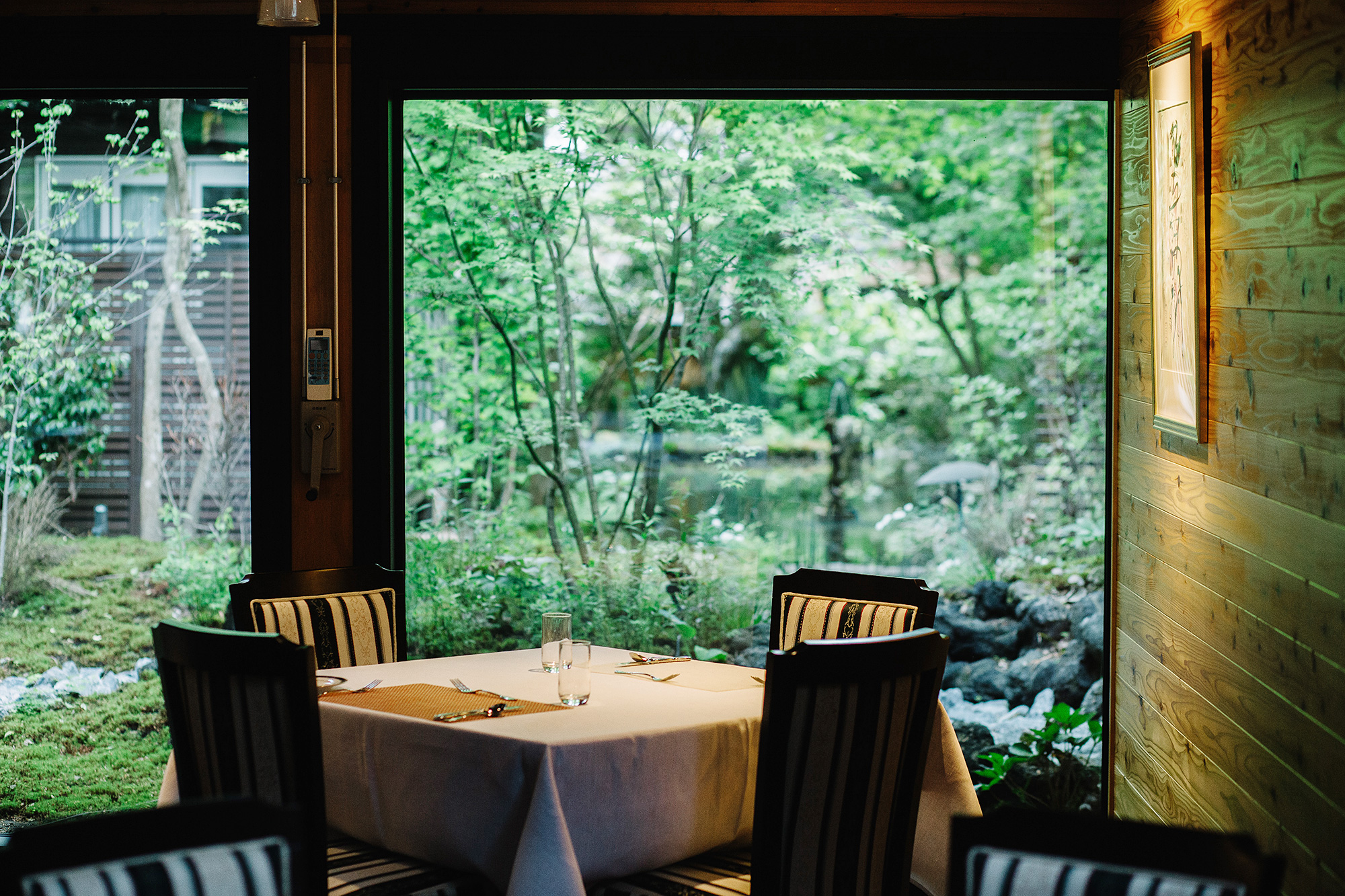 窓から望む中庭の緑